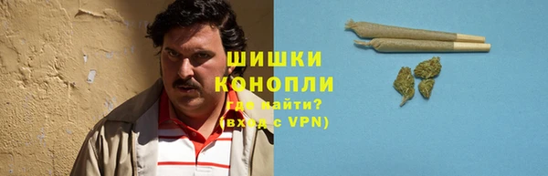 гидропоника Вязьма