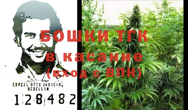 прущая мука Вяземский