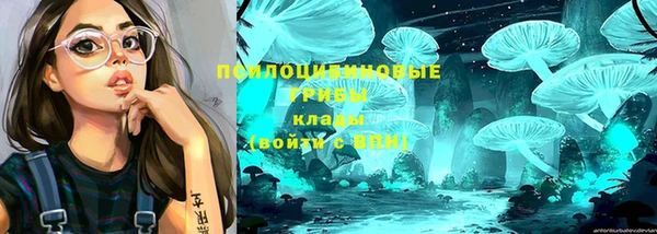 гидропоника Вязьма