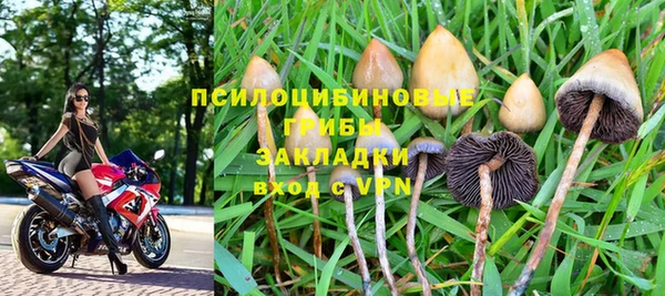 прущая мука Билибино
