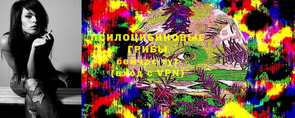 apvp Беслан